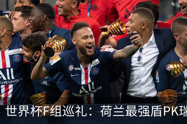 世界杯F组巡礼：荷兰最强盾PK瑞典犀利刀 日本短板明显