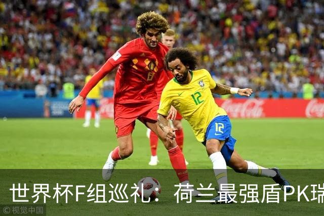 世界杯F组巡礼：荷兰最强盾PK瑞典犀利刀 日本短板明显